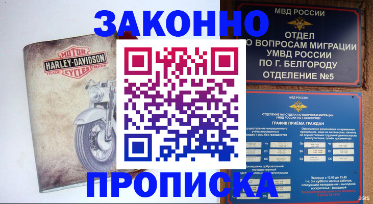 прописка для школы в Обояни